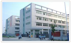強強聯手，共拓國際市場——東莞億網與東莞市寶順國際貿易有限公司簽約成功